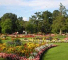 Botanic Gardens Flowers