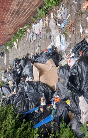 Waste dumped in a street