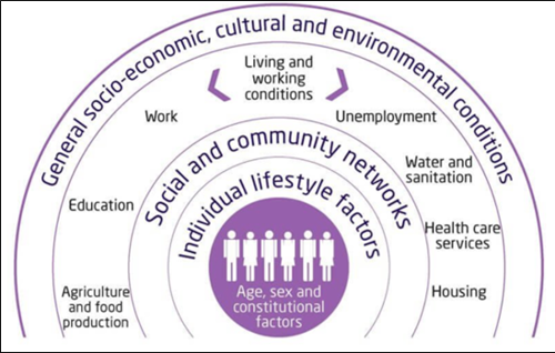 A diagram showing the different influences on health. From age, sex and genes, to lifestyle factors, social and community networks, living and working conditions, and the economy, environment and culture. These influences are often called health determinants.