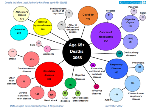 A diagram using circles of different sizes and colours to show the causes of deaths in people aged 65 and over in Sefton in 2021. The three leading causes are diseases of the circulation, cancers, lung diseases including COVID-19