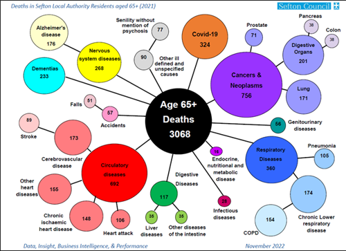 A diagram using circles of different sizes and colours to show the causes of deaths in people aged 65 and over in Sefton in 2021. The three leading causes are diseases of the circulation, cancers, lung diseases including COVID-19