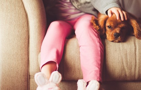 Child sat on sofa with dog