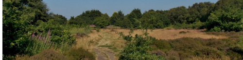 freshfield heath