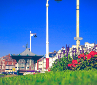 Flowers in Southport