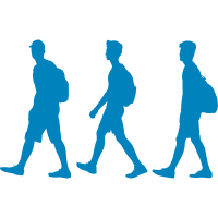 organised walks 